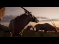 Download Lagu THE LION KING -Official Trailer 2019