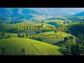 Meet me in the valley - Tasha Layton - Ben Fuller - Lyric Video