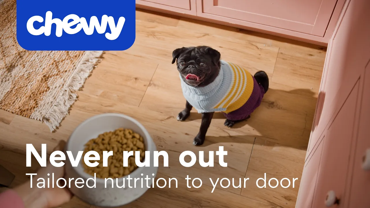 Chewy — Chewy - Never Run Out of Pet Supplies (YouTube video ad)