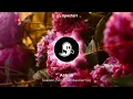 Aatma - Sukoon (Vinz Del Mas Remix)