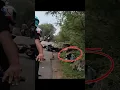 Live Crash who Foult