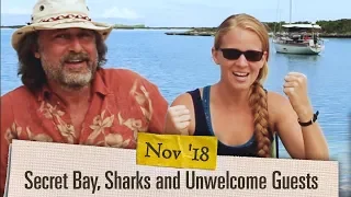 Ep. 1.11 Our Secret Bay, Sharks, and Unwelcome Guests [Adventure Log November 2018]