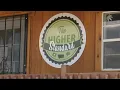 Montana medical marijuana user to be untethered from dispensaries