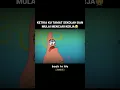 Download Lagu Story wa 30 detik || moment sad spongebob dj angel baby#fyp