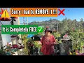 Download Lagu HEAT WARNING on Feeding Hummingbirds from Hummingbird Feeder \u0026 FREE on Our YouTube Channel