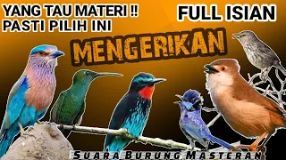 full isian mengerikan masteran kasar untuk burung lomba yang tau materi pasti pilih ini