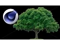 Cinema 4D How to Grow a Tree part 1