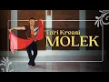 Download Lagu TARI MOLEK - Tari Kreasi by Sanggar Kembang Sore - Tari Kreasi Baru Mudah