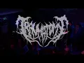 Download Lagu Traumatomy - Live at Lastochka 2021.04.25