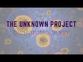BCS-200 Unknown Project - Dichotomous Key
