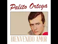 Bienvenido Amor