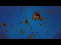 Boid Simulation with Unity 3000 Boids Swarm Behaviour