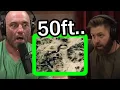 Forrest Galante on the GIANT Snake Photo in the Congo