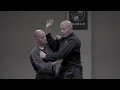 Lagu Ninjutsu Gosha dori (Musha dori) armlock explained - AKBAN Core