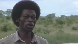 dr thomas chauke na shinyori sisters ndzi nwana mani official music video 