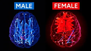 Are Women Smarter than Men?