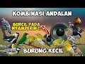 Download Lagu SUARA PIKAT BURUNG KECIL PALING AMPUH | MP3 KOMBINASI BURCIL RIBUT