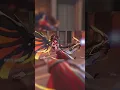 Download Lagu Is this the BEST Mercy Play Of The Game in Overwatch 2?