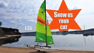 Show us your cat! Episode 36 Germany, China and USA