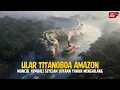 Lagu DUNIA GEMPAR‼️ Drone Penjelajah Menemukan Ular Titanoboa 90 Meter Masih Hidup di Sungai Hutan Amazon