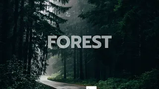 Show Your Header on Scroll HTML CSS JS Tutorial for a Dynamic Website Experience