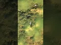 Download Lagu Drone footage of #carp #fish #underwater #lake #fishery #angling #carpuk #hindersbait #carpfishing