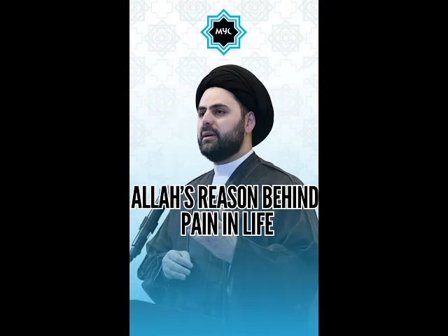 Allahs Reason Behind Pain In Life - Sayed Ahmed Qazwini #shorts