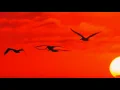 曾慶瑜-今夕是何夕