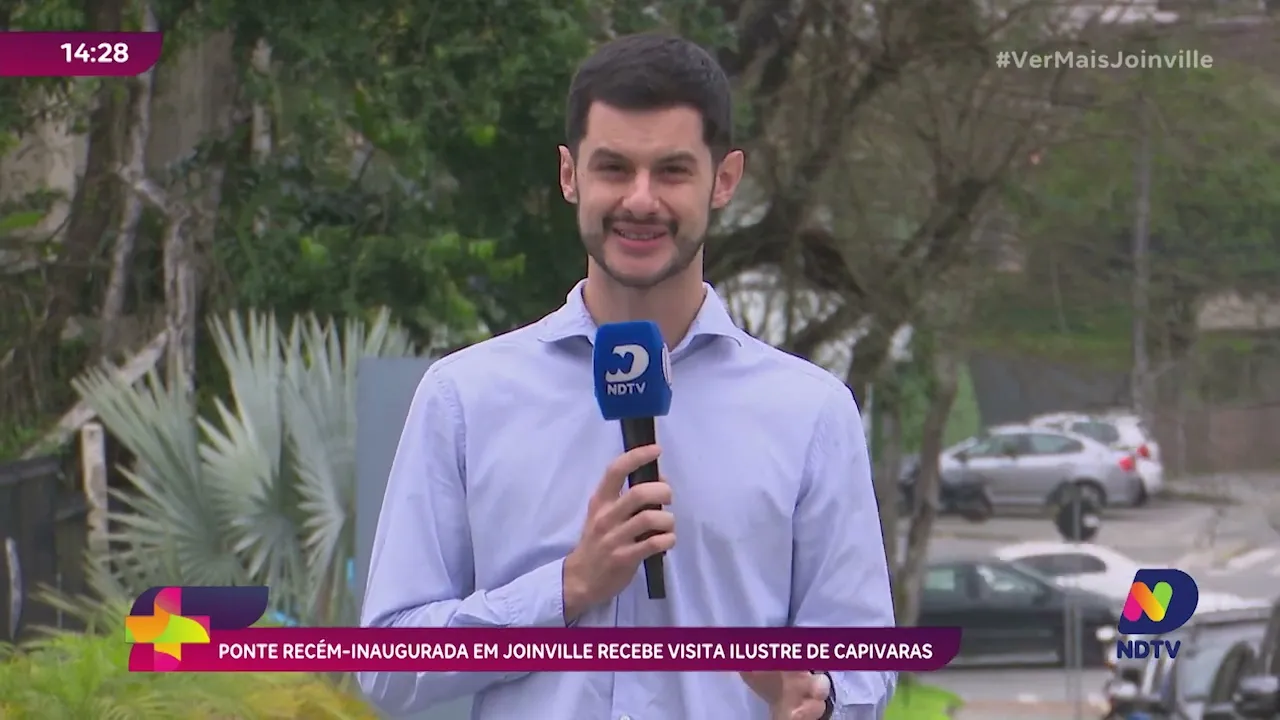 Ponte recém inaugurada em Joinville recebe visita ilustre de capivaras