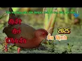 Download Lagu Tiếng chim mắt đỏ gọi bầy chuẩn
