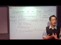 Expert System Components