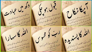 best islamic quotes for whatsapp status islamic dp golden words islamic quotes