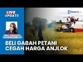 Download Lagu Bulog Mulai Beli Gabah Petani dengan Harga Pokok Rp 6.500 Per Kilogram, Standar Kadar Air 25%