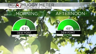 Dewpoints lower into the afternoon for the WSIL region - April 17 2024
