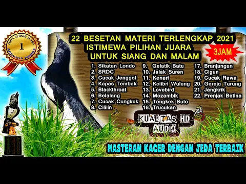 Masteran Burung Kacer Full Isian Tembakan Mewah Lengkap Masteran Kacer Juara Nasional 2021