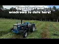 Cutting Crabgrass for Hay with a Ford 3000 and New Holland 472 Haybine