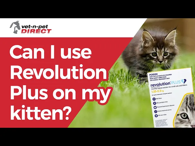 Revolution Plus for Medium Cats 2.6-5kg