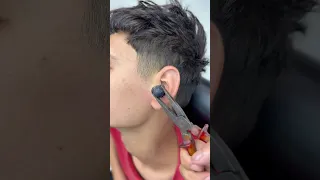                                                                                                      دندنها