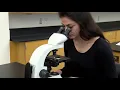 BIOLOGY 10 - Basic Microscope Setup and Use