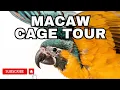 Setting Up Large Cages For Pet Birds MACAW CAGE TOUR