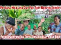 Download Lagu PANEN RAYA‼️PERDANA MBA LINA NGEVLOG BARENG PAK APIK || MASAK SIMPEL HASIL DARI KEBUNKU~PERJODOHAN