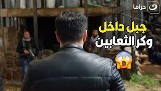 الاسد دخل وكر الضباع وعرفهم انه كبير الغابه 