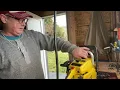 Donny walkers chainsaws checking out a mint Mac 10 10