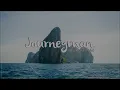 Lulleaux - Fade Into The Sun (feat. Duncan De Moor) (Hibell Remix)