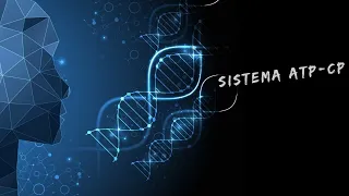 Sistema ATP-CP