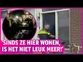 Download Lagu ZIEN: Enorme burenruzie vol op camera: ‘Trok me naar binnen!’