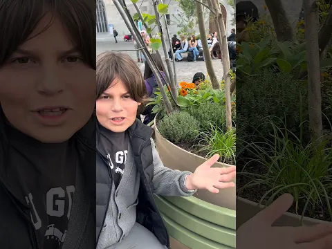 İsviçre’de çöp bulursam video bitiyor 🇨🇭