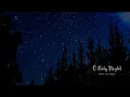 O Holy Night -  Aron van Selm (Solo Piano Version)