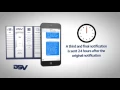 DSV ByBox