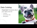 Intro to Azure Data Catalog - Angela Henry
